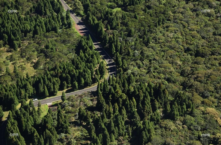 route du volcan 