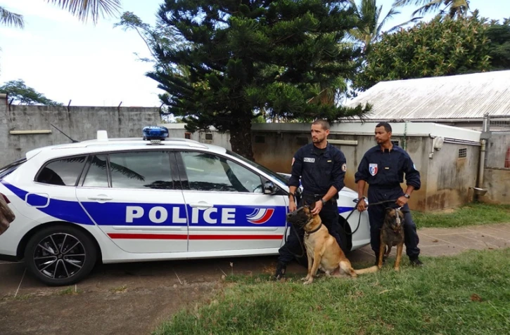 chiens policiers