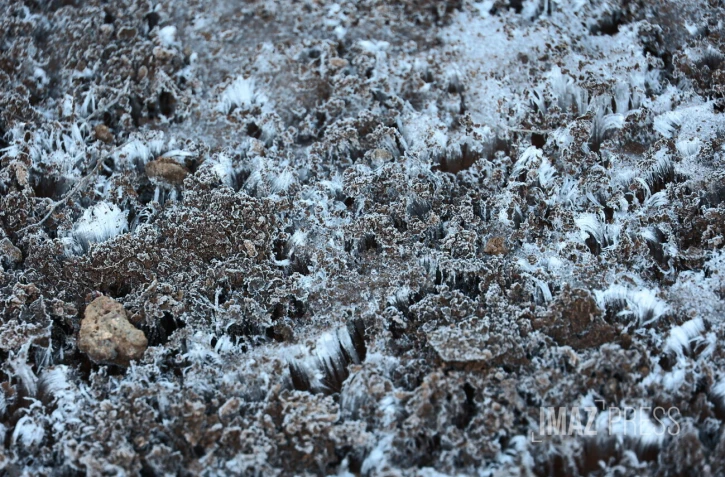 Hiver austral : i fé fré dann lé o La Rényon [?]