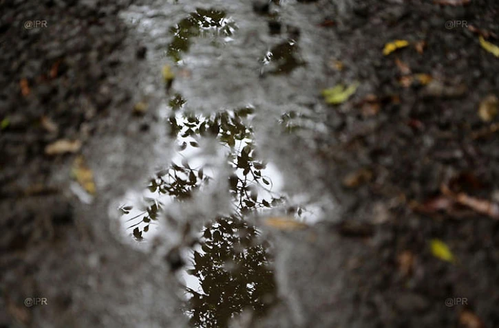 Pluie