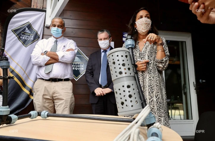 Module étude requins