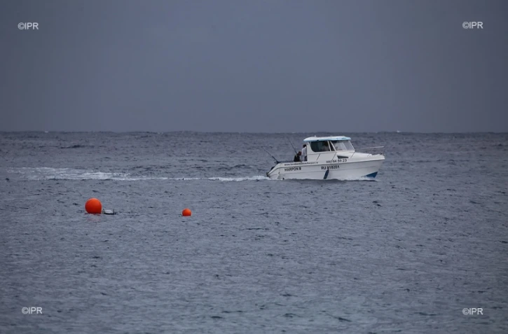 Attaque de requin au Port
