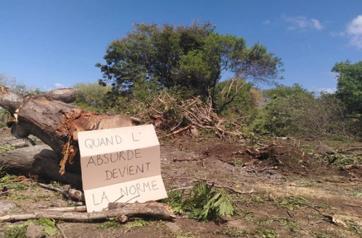 Arbres coupés casabona saint pierre extinction rebellion