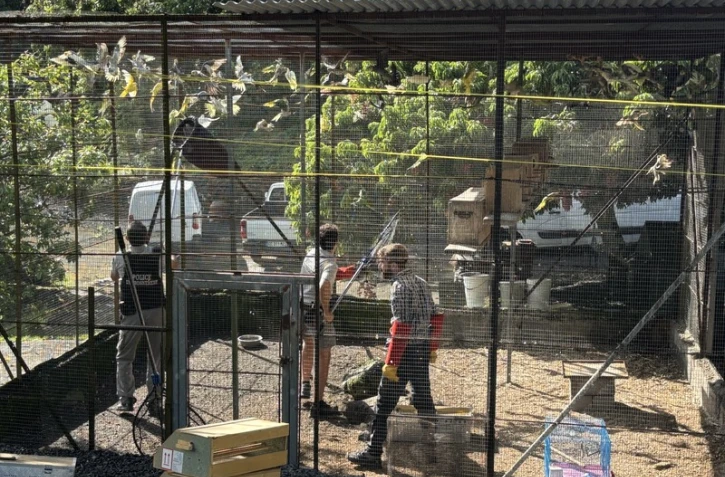 Sainte-Rose : plusieurs dizaines de perruches, trois tortues et six Aras saisis