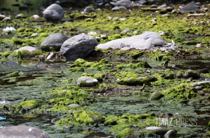 pecheur de la riviere de saint-denis