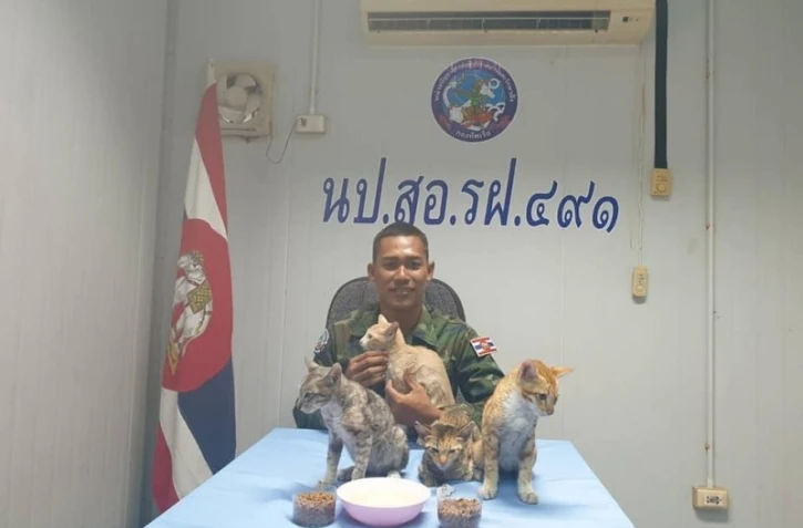  La marine thaïlandaise sauve quatre chats de la noyade