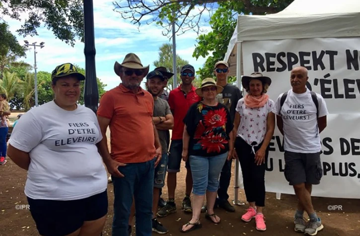 Filière bovine, bovins, viande, barbecue gratuit