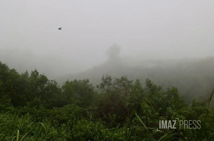 météo, brouillard