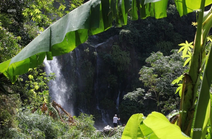 météo Réunion 