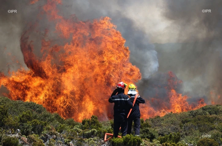 Incendie Maïdo 2020