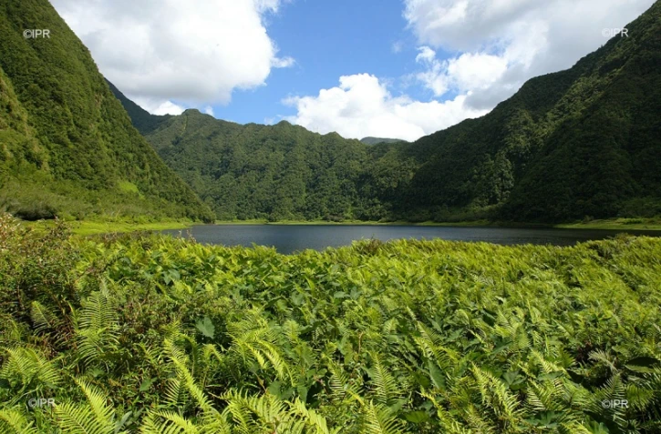 Météo Réunion 