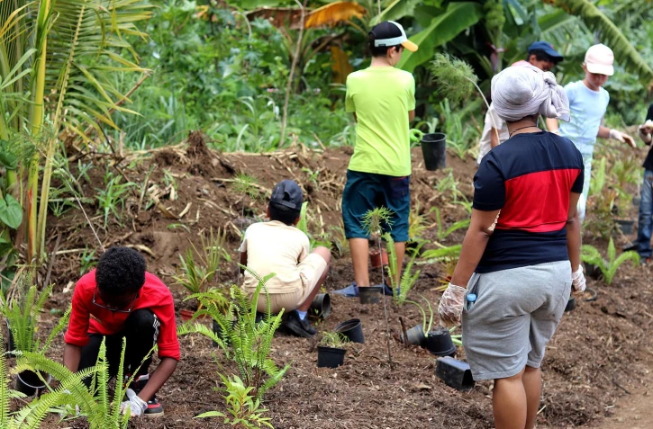 Département : 700 000 plants déjà mis en terre 