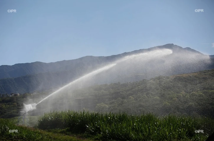 irrigation  canne à sucre 