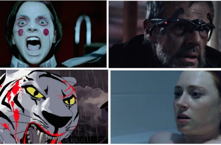 Festival Même pas Peur 2016