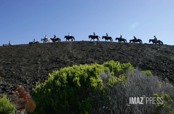 cheval 