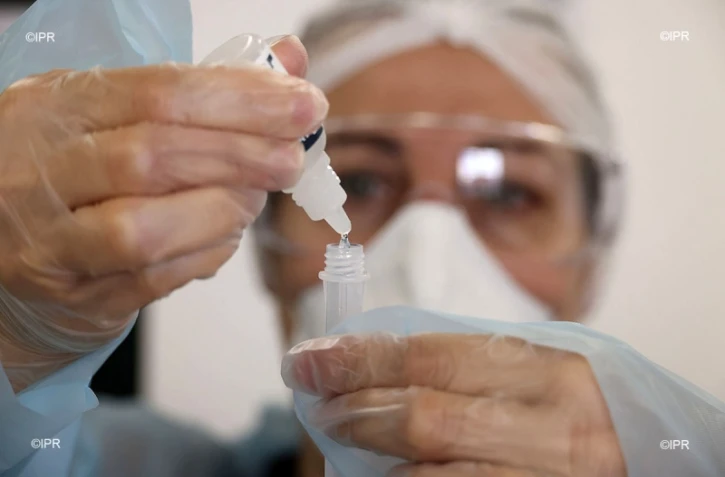test coronavirus antigénique lycée jean hinglo le port