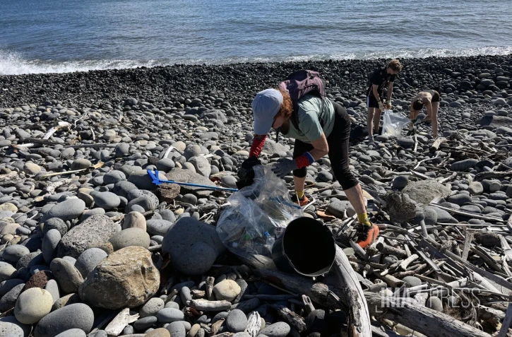 Sainte-Marie : plus d'une cinquantaine de bénévoles mobilisés pour nettoyer le littoral