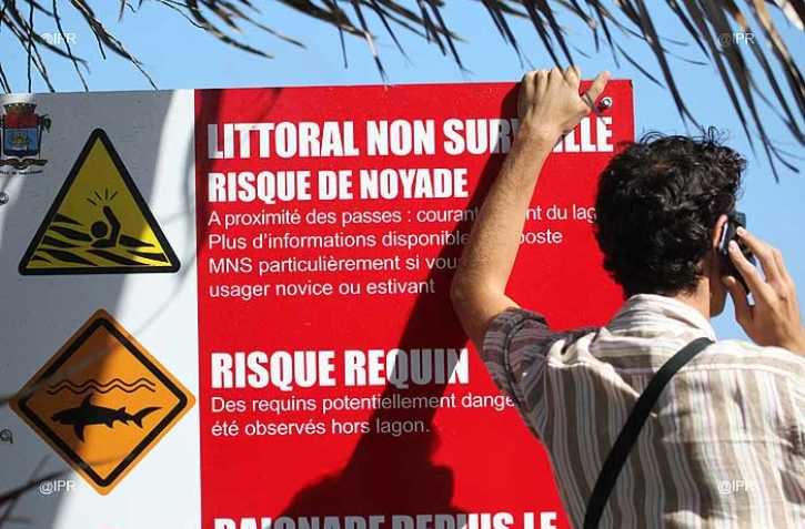 Panneaux requins à Saint-Pierre