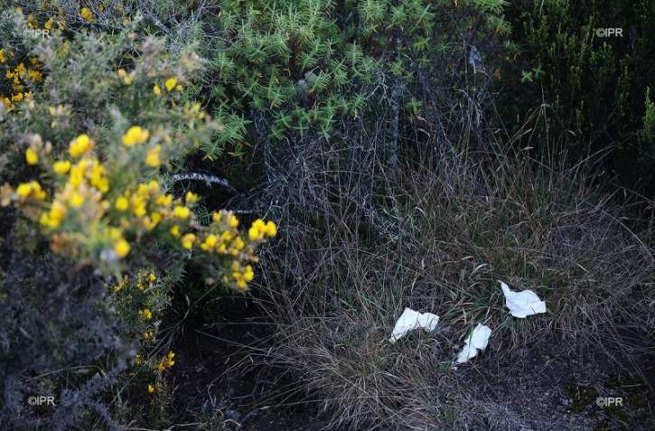 déchets papier 