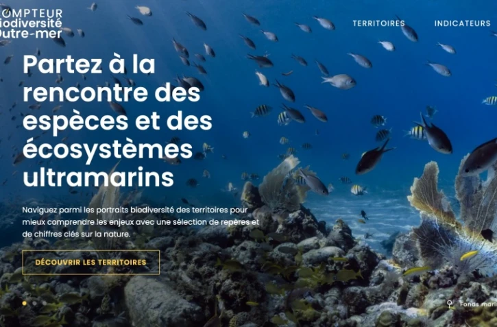 compteur biodiversité ultramarine
