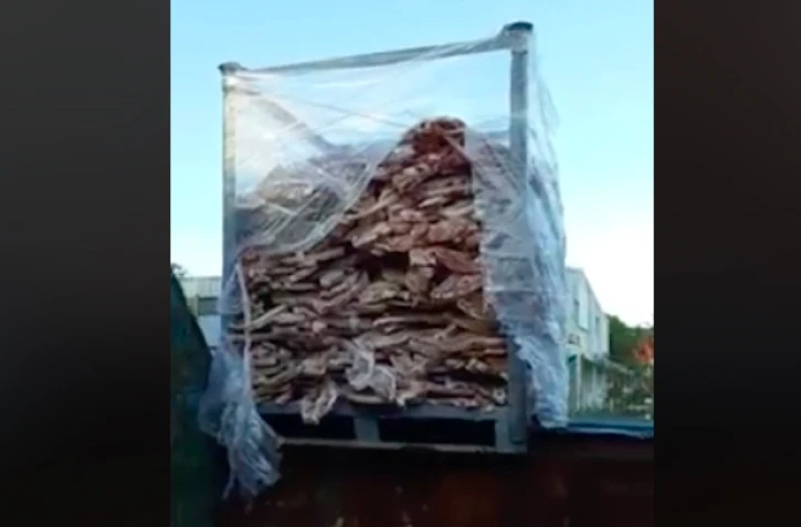 viande avariée, jetée, gaspillage alimentaire, Vindemia, poubelle