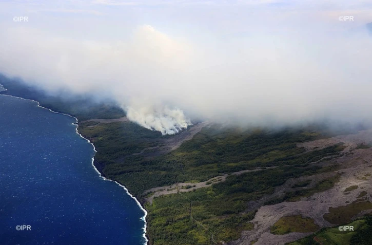 Incendie, Grand brûlé, Sainte-Rose, feu, végétation