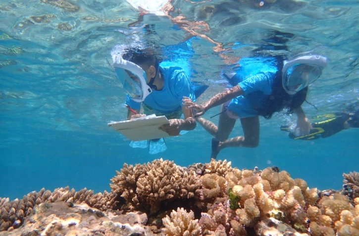 Réserve marine : des élèves de CM2 auscultent le lagon 