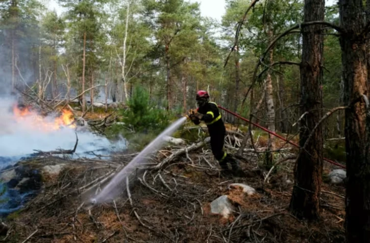 Un pompier lutte contre un incendie dans la forêt de Fontainebleau, à Noisy-sur-Ecole, en Seine-et-Marne, le 14 juillet 2026 ( AFP / Dimitar DILKOFF )