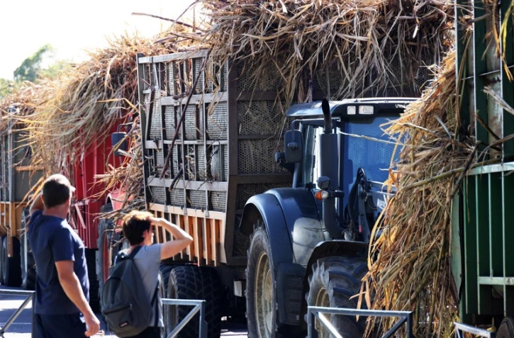 tracteurs planteurs