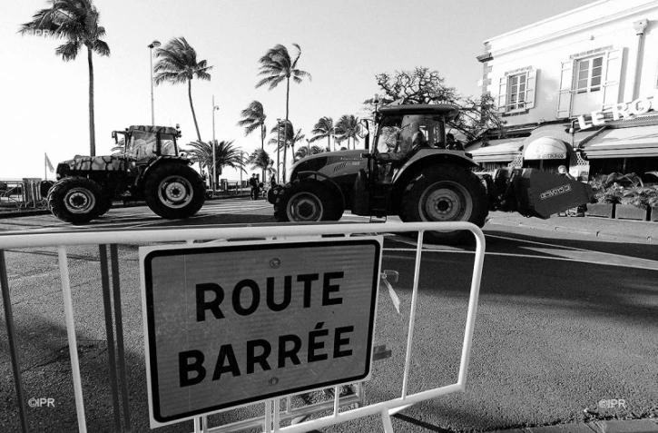 manifestation planteurs 
