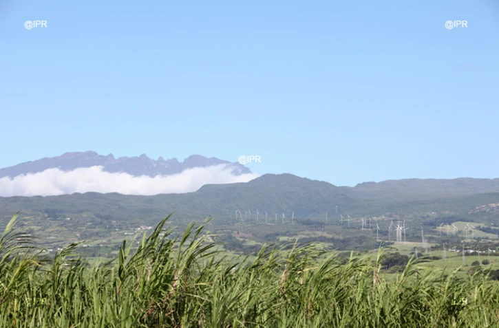 Paysage