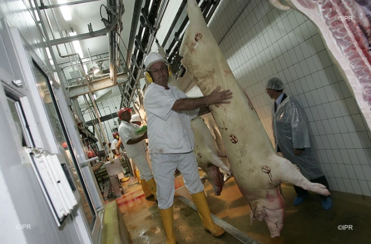Abattoir 