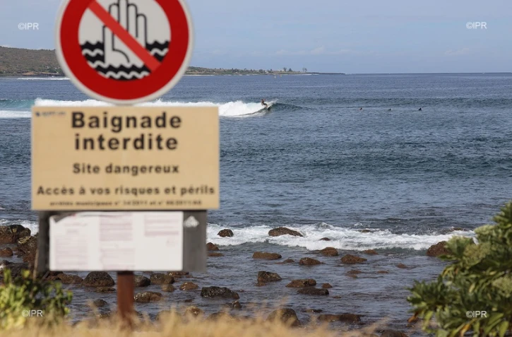 panneaux requins 