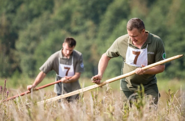 Des participants au championnat du monde de fauchage à Trzcianna, dans le nord-est de la Pologne, le 10 septembre 2016