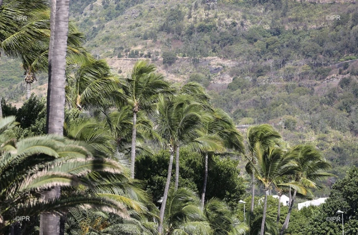 Météo réunion 