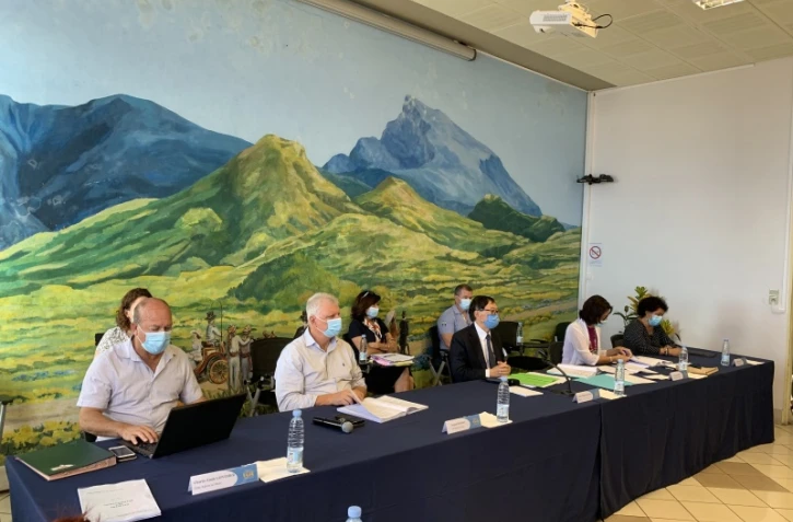 conseil municipal tampon