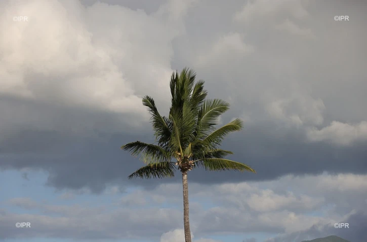 météo réunion 