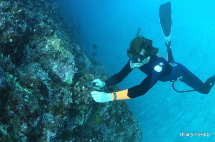 Nettoyage des fonds sous-marin