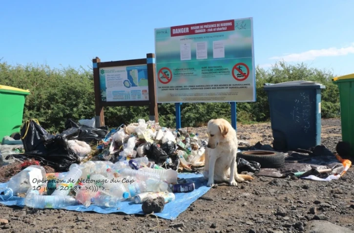 nettoyage cap la houssaye