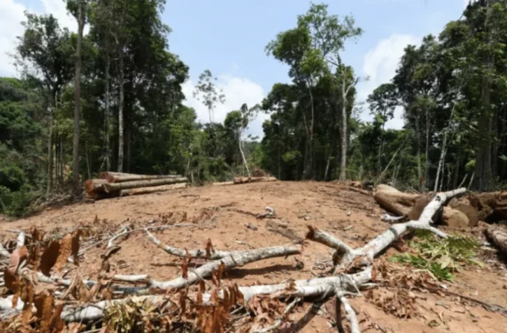 26% de l'Amazonie irréversiblement détruite, avertissent des chefs indigènes
