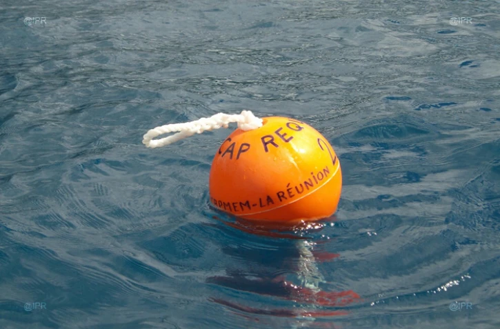 Cap requins