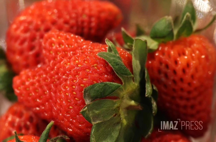 fraises 