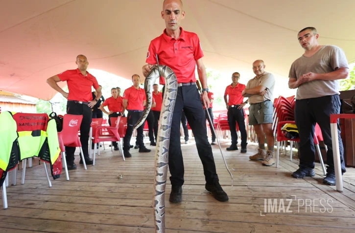 Serpents, nouveaux animaux de compagnie... les pompiers de La Réunion formés aux risques animaliers