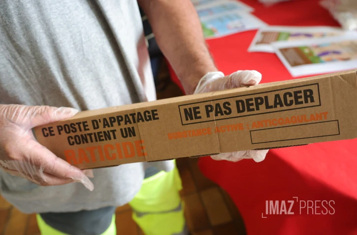 Face à la prolifération des rats, Saint-Denis déploie une campagne de dératisation
