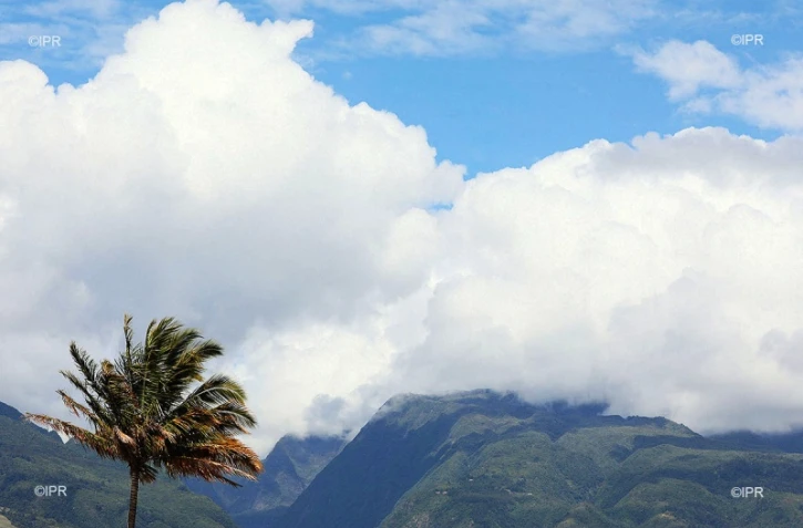 paysages 