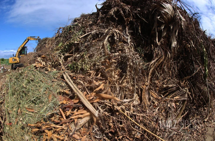 déchets vert Ileva au Port