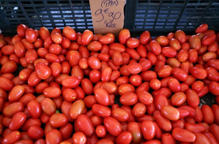 prix tomates 