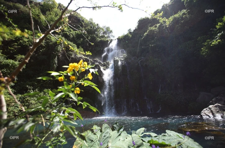 bassins des Cormorans 