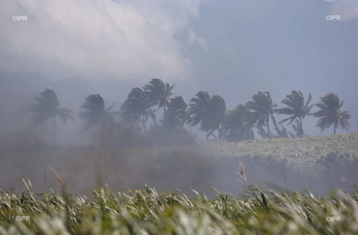  Incendie Terre-Rouge 