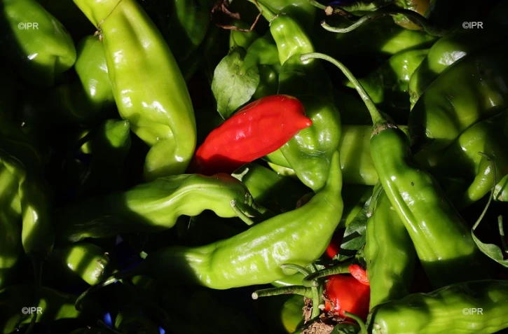 légumes et fruits 